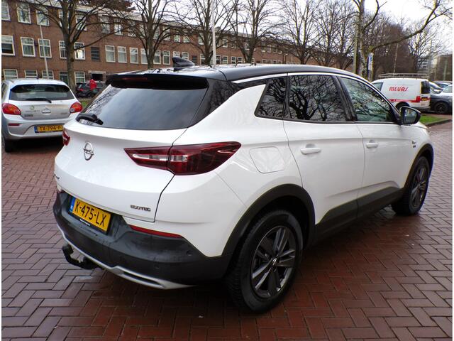 Opel Grandland X 1.2 Turbo Edition 2020 1e EIGENAAR GEHEEL DEALER ONDERHOUDEN....