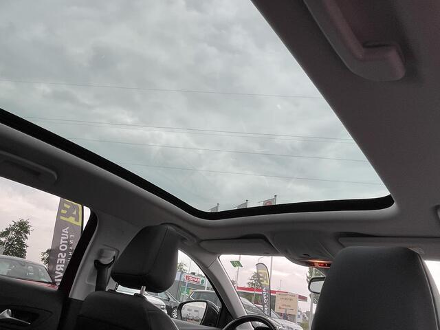 Opel Grandland X 1.2 Turbo Business Executive AKTIE PRIJS SUPER NETTE AUTO - Dealer ond. incl. Service EN NW DISTRIBUTIE en 6m garantie | NW 18"LMV | PANDO DAK | LED | Carplay | LMV | Cruise | AGR