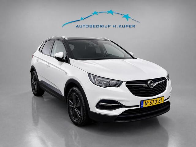 Opel Grandland X 1.2 Turbo Bns Ed. | Cruise | Apple Carplay/Android Auto |