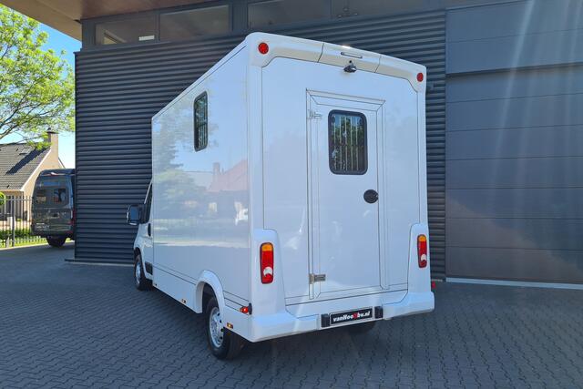 Opel MOVANO 2.2D 165 L3 3.5t Paardenwagen