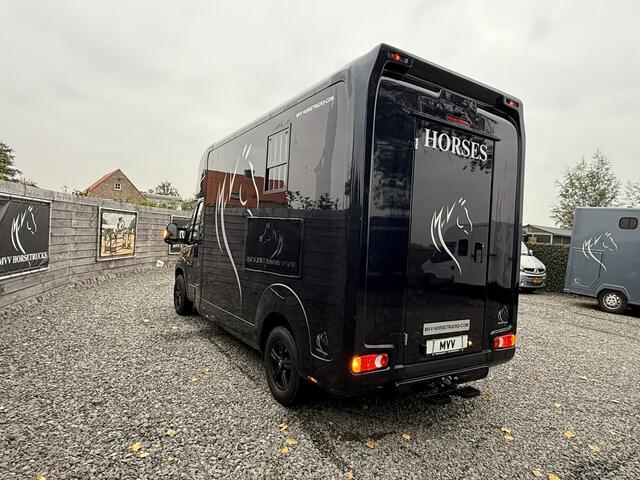 Opel MOVANO Paardenwagen AKX 3XL | HENGST | 10.800KM | 2023 | B-RIJBEWIJS
