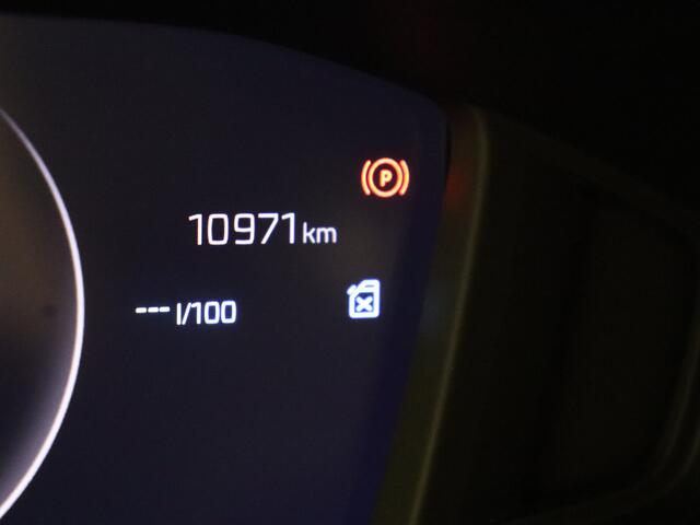 Peugeot 208 1.2 PureTech 100 Allure | Navigatie | Carplay Wireless | Camera |