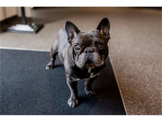 Peugeot 508 SW 1.6 180pk Allure. Half Leer, Camera, StoelVerw, 18"LMV, Haak 1600kg