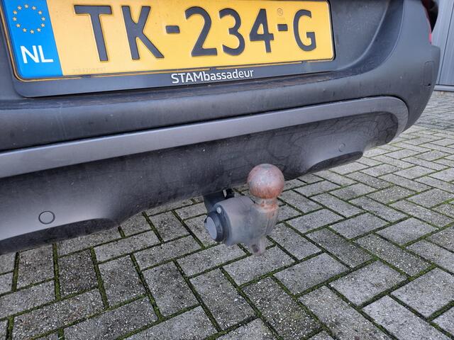 Renault KADJAR 1.2 TCe Intens | Trekhaak | Panoramadak | Achteruitrijcamera |