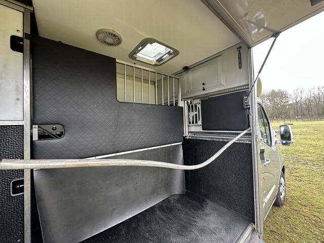 Renault MASTER 2-paaards paardenvrachtwagen Automaat B-rijbewijs!