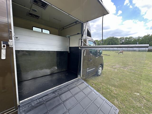 Renault MASTER 2-paards paardenvrachtwagen Automaat B-Rijbewijs