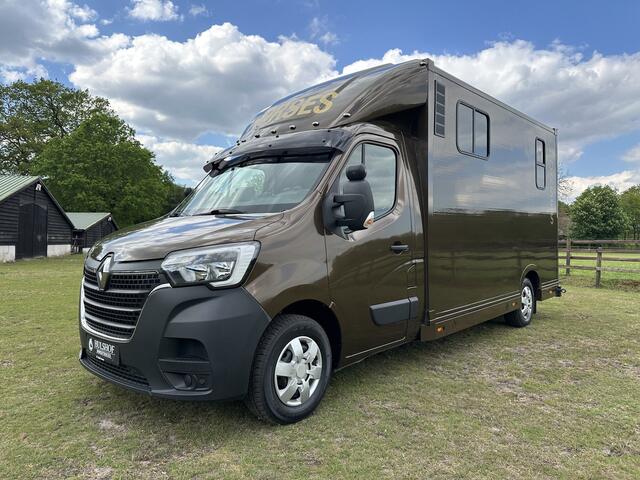 Renault MASTER 2-paards paardenvrachtwagen Automaat B-rijbewijs