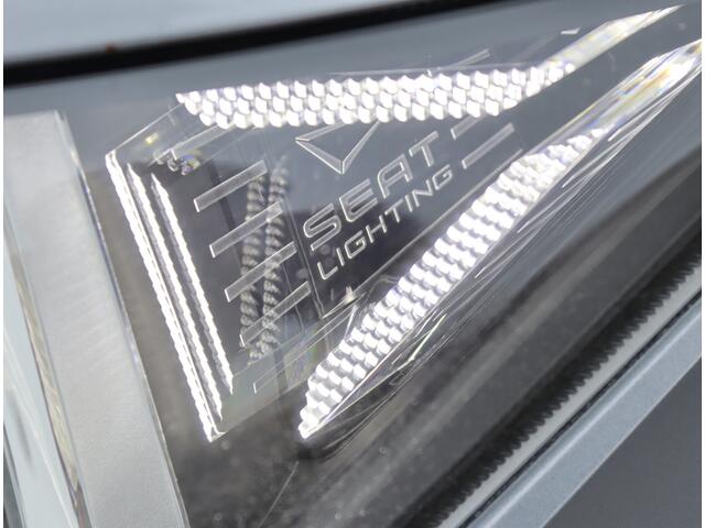 Seat IBIZA 1.0 TSI Style Business Intense | Camera | Trekhaak | Navigatie | NAP