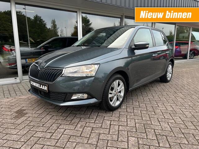 Skoda FABIA 1.0 TSI Online Edition