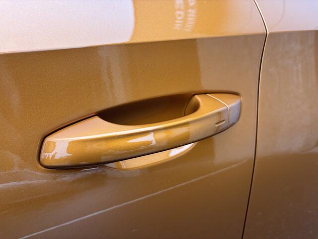 Skoda FABIA 1.0 TSI Business Edition Pano Nap Dealer Clima Keyless Carplay