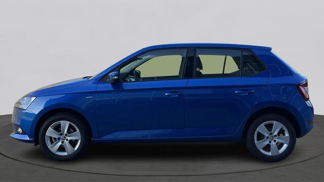 Skoda FABIA 1.0 TSI Clever