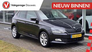 skoda-fabia-1.0-tsi-clever--nap--