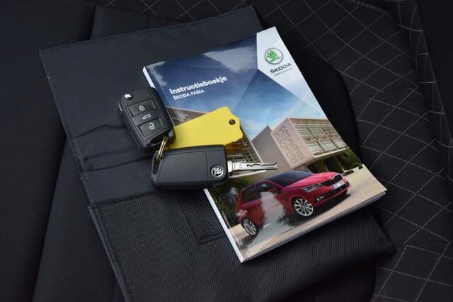 Skoda FABIA Combi 1.0 TSI 96PK Ambition | BOVAG Garantie | Org. NL | Lage KM stand met NAP | Apple Carplay/Android Auto | DAB | Cruise Control | Parkeersensoren |