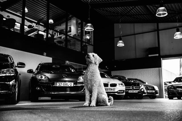 Skoda Kamiq 1.0 TSI Deluxe Sport Automaat (VIRTUAL COCKPIT, APPLE CARPLAY, LEDER/ALCANTARA, STOELVERWARMING, CAMERA, ADAPTIVE CRUISE, KEYLESS, MATRIX LED, NIEUWSTAAT)