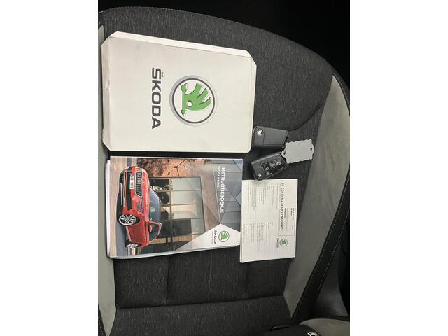 Skoda Kamiq 1.0 TSI Business Edition / Dealer onderhouden /