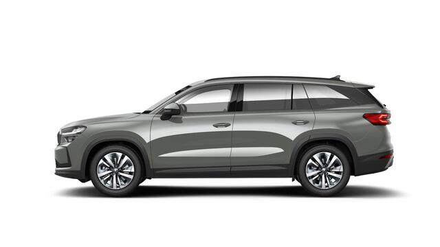 Skoda Kodiaq Business Edition m-HEV 1.5 TSI 150 pk 7 versn. DSG | 7 Persoons | Trekhaak wegklapbaar | Winter pakket | Sunset