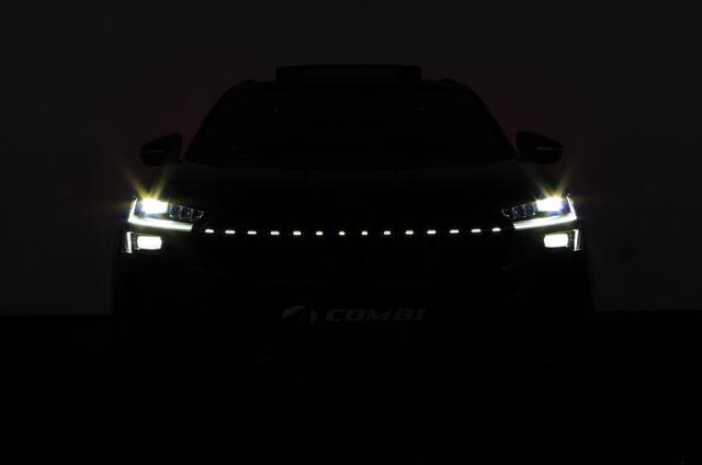 Skoda Kodiaq 1.5 TSI PHEV Sportline Business > Voorraad!/Trekhaak/Pano.schuif/Winterpakket/Memory/120km WLTP