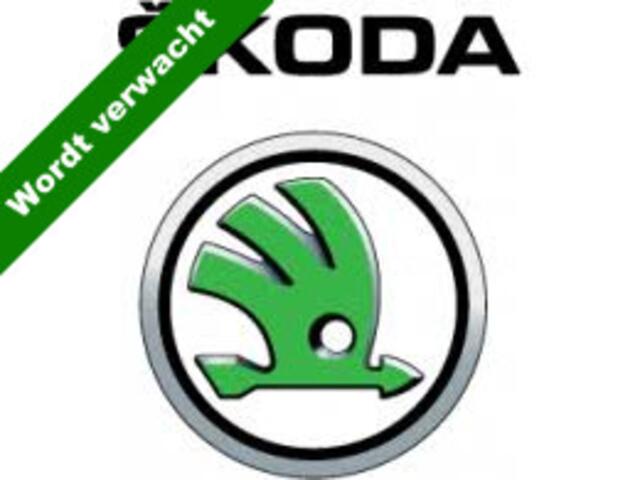 Skoda Kodiaq 1.5 TSI Busn. Ed. 7p. NL-Auto / 7 Persoons / Led verl / Clima