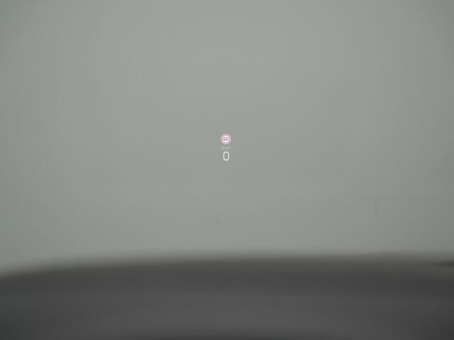 Skoda OCTAVIA Combi 1.4 TSI 245 pk DSG RS iV PHEV Business | Panoramadak | Geheugen-/massagestoelen | Head-up display | Canton | Leder/alcantara | Stuur-/achterbankverwarming | Matrix LED