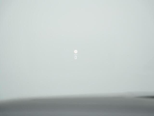 Skoda OCTAVIA Combi 1.4 TSI RS iV 245 pk PHEV | Adaptief onderstel | Geheugen-/massagestoelen | Canton | Head-up display | Matrix LED