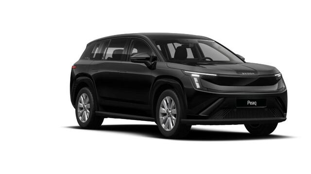 Skoda Peaq Selection 60