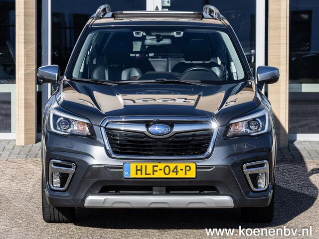Subaru FORESTER 2.0I e-Boxer 4wd Aut. First Edition LEER / PANO / ADAPT. CRUISE