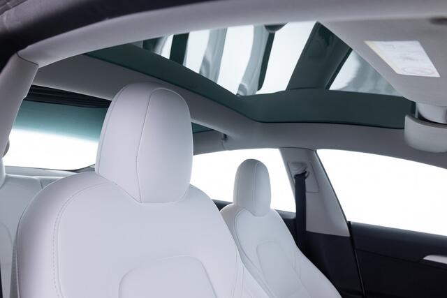 Tesla Model 3 Performance AWD 75 kWh ? 1e Eigenaar