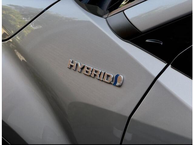 Toyota C-HR 1.8 Hybrid Business Intro AUTOMAAT | 2019