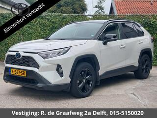 toyota-rav4-2.5-hybrid-dynamic-bi-t