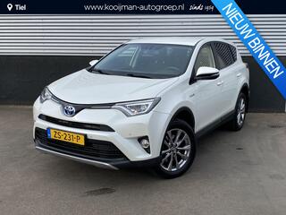 toyota-rav4-2.5-hybrid-style-trekha