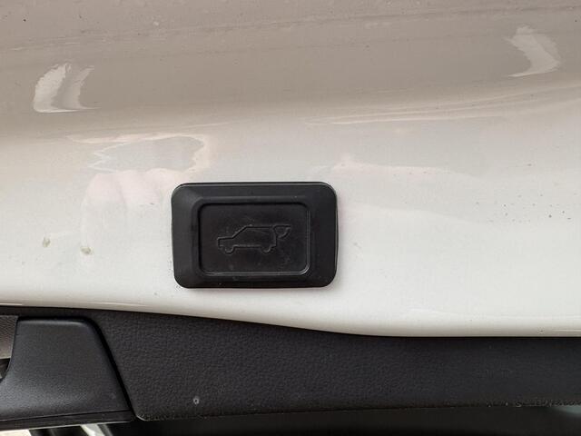 Toyota RAV4 2.5 Hybrid Bi-Tone Trekhaak schuifkanteldak