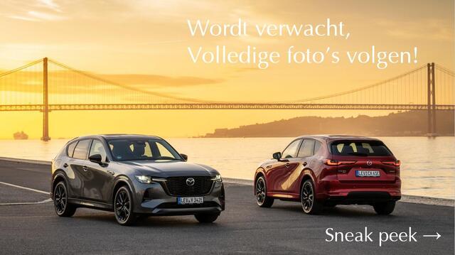 Toyota RAV4 2.5 Hybrid Bi-Tone Zeer weinig kilometers, complete uitvoering!