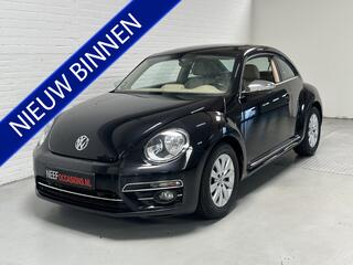 Volkswagen BEETLE (NEW)