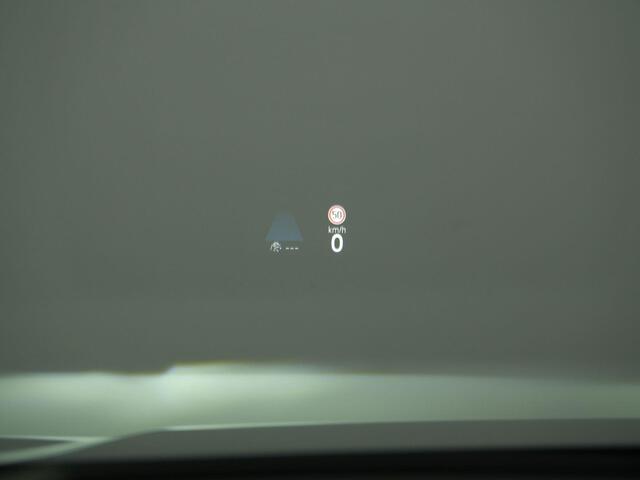 Volkswagen GOLF 2.0 TSI 265 pk DSG GTI | Panoramadak | Adaptieve onderstel regeling (DCC) | Park Assist | IQ Light | 19 inch
