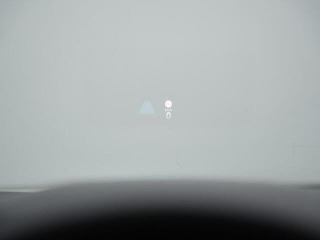 Volkswagen GOLF 1.4 eHybrid 245 pk DSG GTE | IQ Light | Head-up display | Stuur-/stoelverwarming | Achteruitrijcamera | Adaptive Cruise