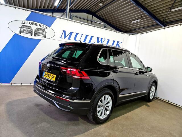 Volkswagen TIGUAN 1.5 TSI Life Business / Virtual / ACC / NL Auto