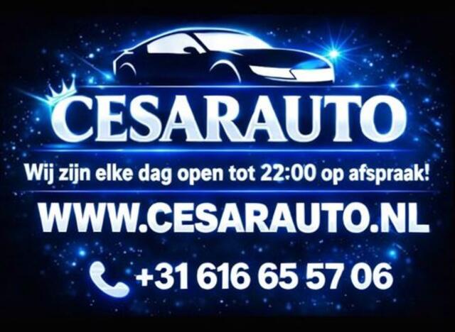 Volkswagen TOURAN 2.0 TDI AUTOMAAT / 180 DKM / HONDENWAGEN !!!