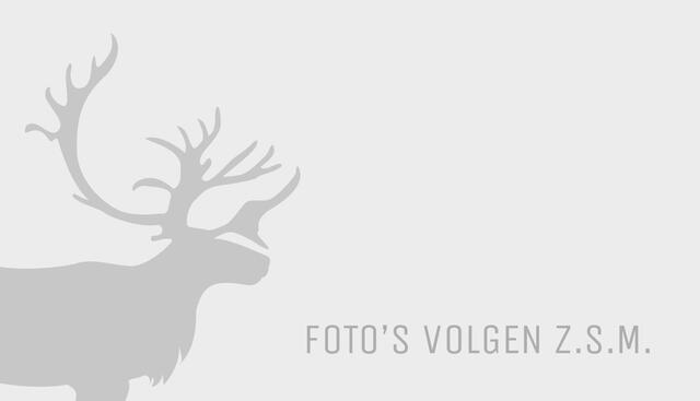 Volvo XC40 T3 Inscription | Rijklaarprijs | Pano dak | Leer |