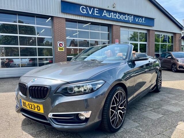 BMW 2-SERIE 220I HIGH EXECUTIVE NAP LOGISCH