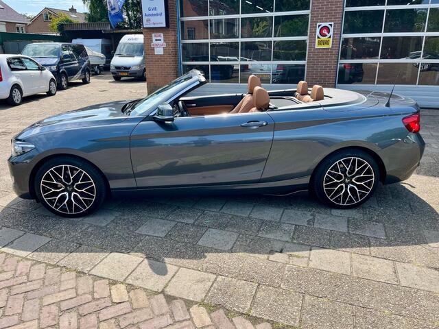 BMW 2-SERIE 220I HIGH EXECUTIVE NAP LOGISCH
