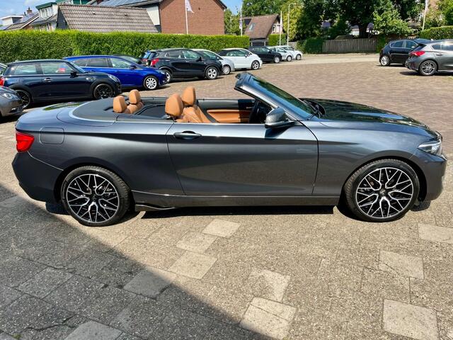 BMW 2-SERIE 220I HIGH EXECUTIVE NAP LOGISCH