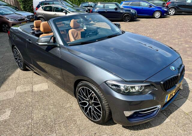 BMW 2-SERIE 220I HIGH EXECUTIVE NAP LOGISCH