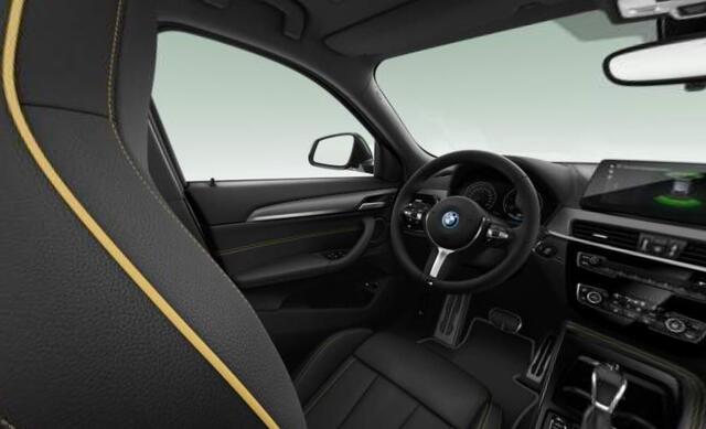 BMW X2 xDrive25e M-Sport Goldplay Pano ACC HUD Camera M-zetels