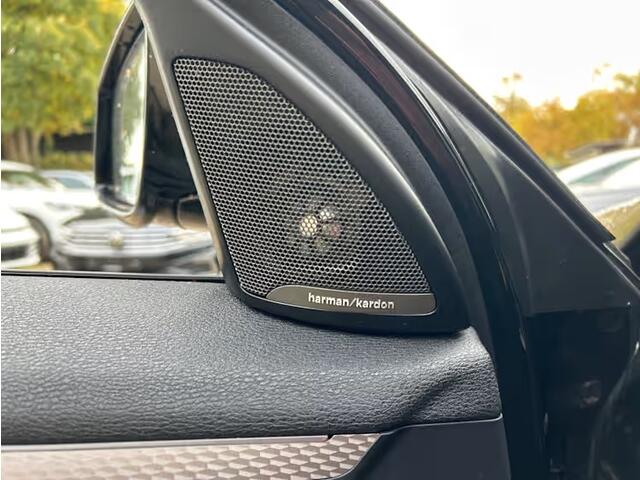 BMW X2 sDrive20i High Executive M Sport Mesh Edition Panoramadak 19 Inch M Sportzetels DAB Carplay