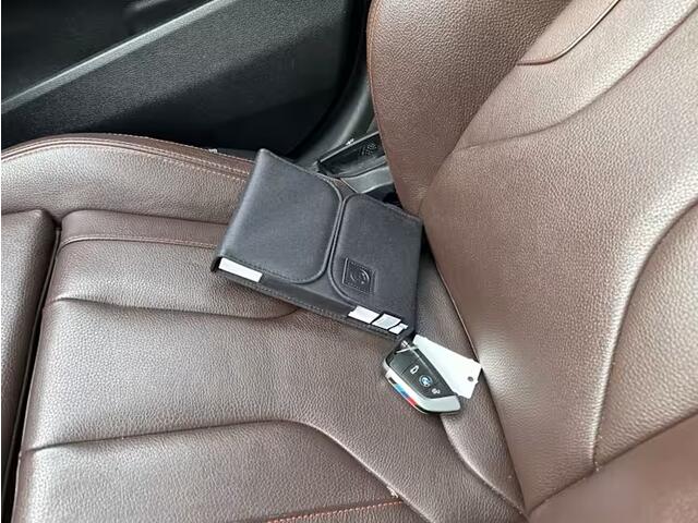 BMW X2 sDrive20i High Executive M Sport Mesh Edition Panoramadak 19 Inch M Sportzetels DAB Carplay