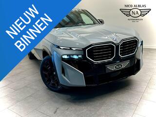 bmw-xm-phev-label-red-30-kwh