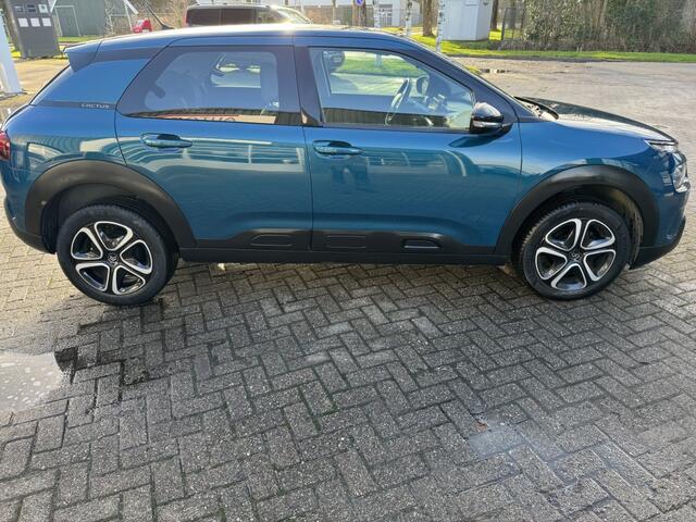 Citroen C4 CACTUS 1.2 PT Business / all in prijs/ apple carplay/android /navi