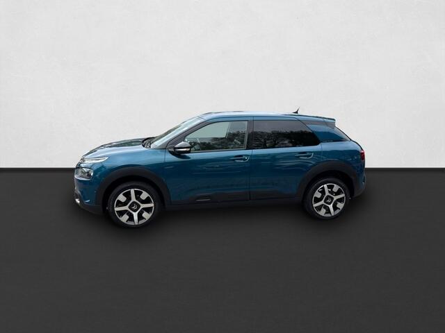 Citroen C4 CACTUS 1.2 PureTech Business Plus NAVI / CAMERA / ALL SEASON