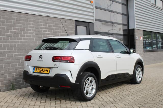 Citroen C4 CACTUS 1.2 PureTech Business / Carplay / Automaat / N.A.P.