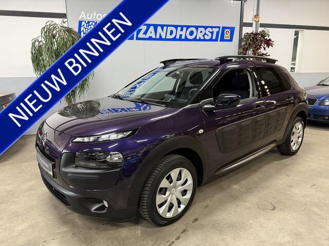 Citroen C4 CACTUS 1.2 PureTech Business Plus